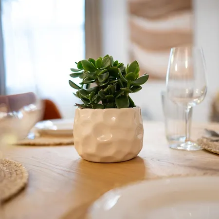 1 Ultra Διαμέρισμα Κλουζ-Ναπόκα